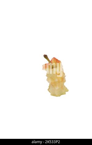 Single red apple eaten down to the core, isolated on white background. Stock Photo