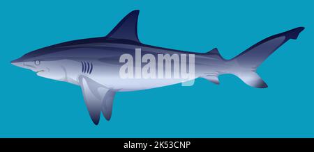 Hungry aggressive and scary shark fish on blue background vector illustration Stock Vector