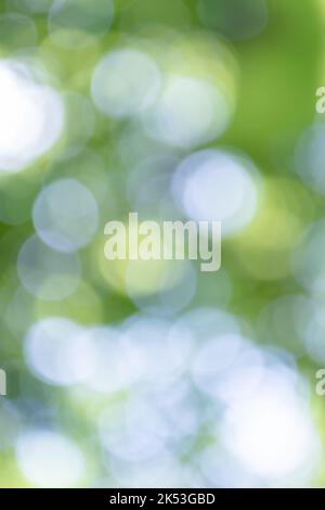 Vertical abstraction from bokeh on a green background from blurred leaves. Backdrop. Spring summer theme. Stock Photo