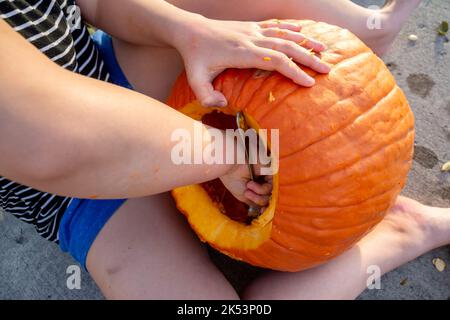 Close up of a girl's hands scooping out the inside of a pumpkin to make a jack o lantern. Stock Photo