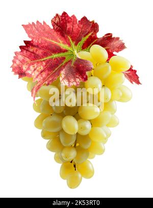 yellow grapes with red leaves isolated on a white background with clipping path. Stock Photo