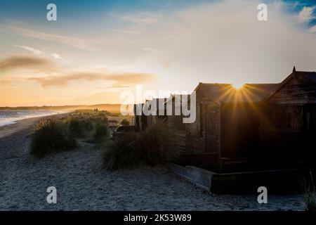 Walberswick, Suffolk, iconic beach huts at sunset at a popular East Anglia Coast England. Stock Photo