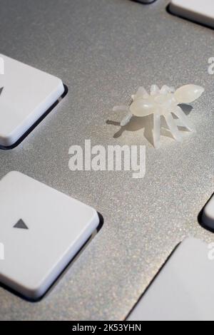 Translucent computer bug on keyboard. Stock Photo