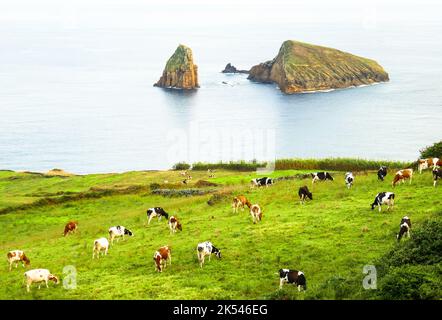 Baixo Islet, Ilhéu do Carapacho, Ilhéu dos Homiziados, a small uninhabited islet group located off the southeast coast of the island of Graciosa Stock Photo