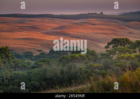 Southern Brazil countryside and meadows landscape at peaceful sunrise Stock Photo