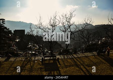 Beautiful view of mountains in shimla Stock Photo