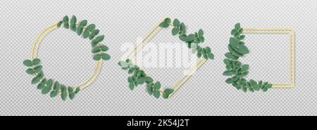 Golden frames with eucalyptus leaves isolated on transparent background. Natural green foliage borders decor of round, square and rhombus shape. Realistic 3d vector illustration, decorative elements Stock Vector