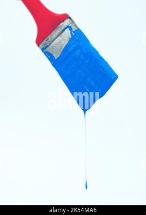 Artist in the making. Closeup of a paintbrush with blue paint dripping off isolated on white. Stock Photo