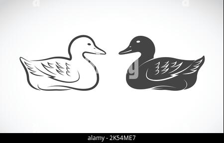 Vector image of duck on white background. Vector. Easy editable layered vector illustration. Wild Animals. Stock Vector