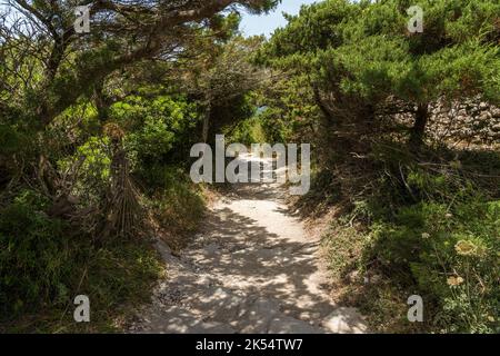The path along beautiful cliffs of Bonifacio on a sunny summer day. Southern Corse, France. Stock Photo