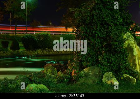 Ivy on rock at waterside at night long exposure photo Stock Photo