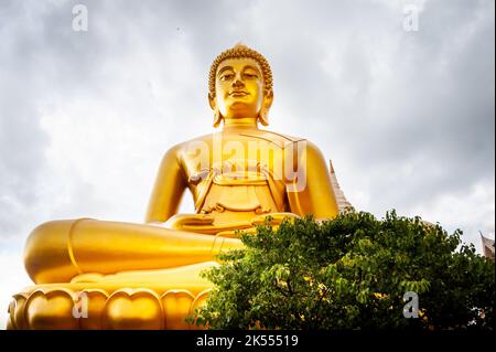 The giant golden Buddha looms large above the city of Bangkok Thailand at Wat Paknam. Temple full name; Wat Pak Nam Phasi Cheroen. Stock Photo