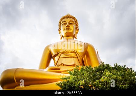 The giant golden Buddha looms large above the city of Bangkok Thailand at Wat Paknam. Temple full name; Wat Pak Nam Phasi Cheroen. Stock Photo