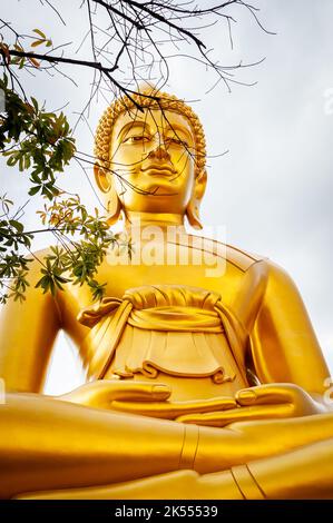 The giant golden Buddha looms large above the city of Bangkok Thailand at Wat Paknam. Temple full name; Wat Pak Nam Phasi Cheroen. Stock Photo