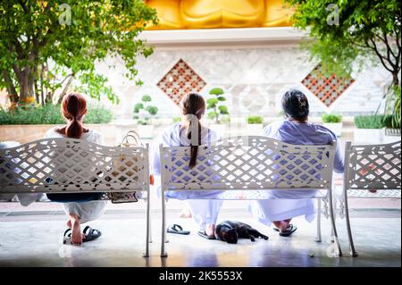 The giant golden Buddha looms large above three Thai ladies sat peacefully at a bench at Wat Paknam. A black cat sleeps at their feet. Stock Photo