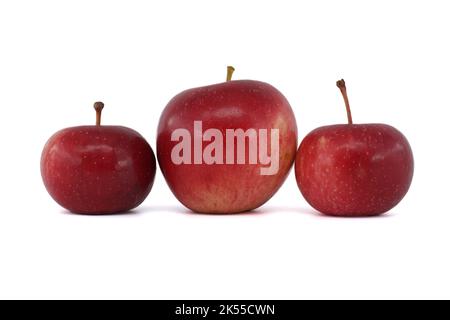 Three red apples of different sizes isolated on a white background Stock Photo