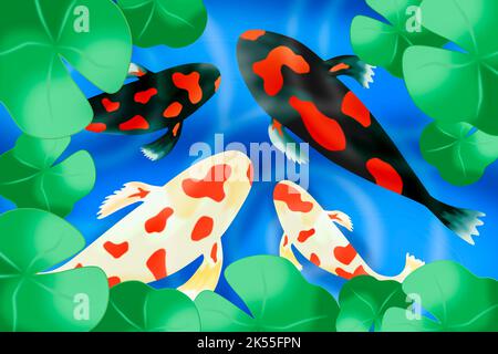 Illustration of four koi carp swimming in a pond with lilly leaves, viewed from above Stock Photo