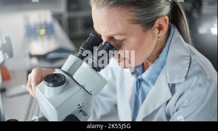 Science, research and microscope with a woman engineer working in her laboratory on innovation and development. Analytics, future and sample with a Stock Photo