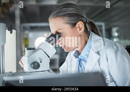 Woman, scientist and microscope at a research lab with medical analytics. Cell doctor or biotechnology researcher working in the healthcare, dna or Stock Photo