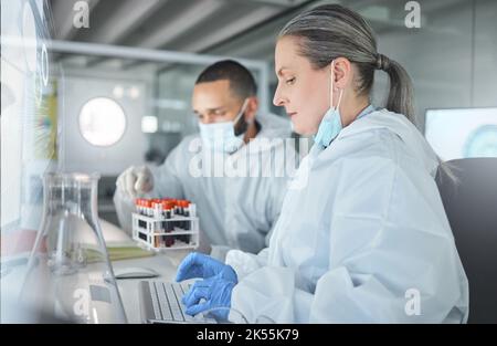 Scientist team, covid research and computer in a pathology lab while typing medical information, analysis and results. Chemist man and woman using Stock Photo