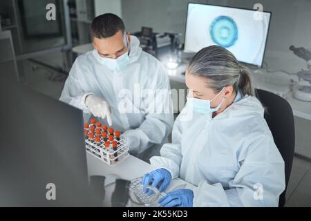 Covid research, blood lab and scientist working on science data for hospital with employee together at work. Healthcare technician on the internet Stock Photo