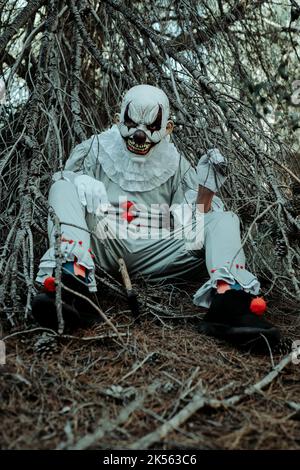 closeup of an evil clown, wearing a gray costume with some ruffles and red pom-poms, and a ruff around his neck, sitting in the woods at dusk, next to Stock Photo