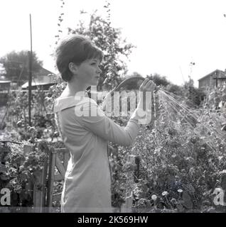 1964, historical, summertime and a young lady in a dress watering her plants, using a garden hose with a spray, England, UK. Stock Photo