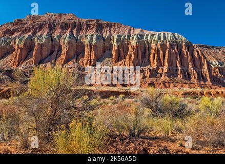 Sandstone fluted cliffs, over riparian corridor at Middle Desert Wash, Cathedral Valley Road, Capitol Reef Natl Park, Utah, USA Stock Photo