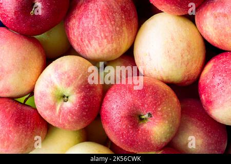 Fresh red apples with drops of water, close-up. Background Stock Photo