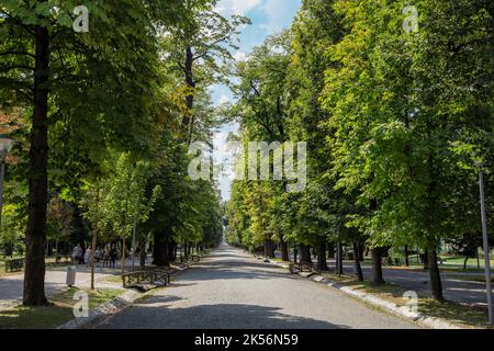 CLUJ-NAPOCA, TRANSYLVANIA, ROMANIA - AUGUST 21, 2018:  Central Park, Image on August 21, 2018 in  Cluj-Napoca. Stock Photo