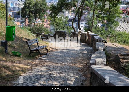 Alley in the park, Image  in  Cluj-Napoca. Stock Photo