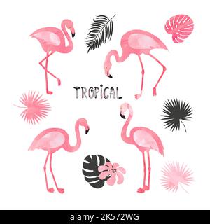 Set of watercolor flamingos isolated on white. Vector tropical illustration of beautiful flamingo birds and leaves. Stock Vector
