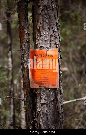 KISATCHIE NATIONAL FOREST RECREATION AREA AT CORNEY LAKE LOUISIANA/USA – MARCH 9 2022: Sign warning that hunting is forbidden in a baited area of the Stock Photo