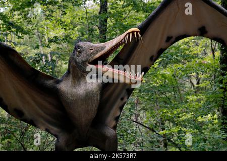 Cearadactylus (frightfull finger). Model of pterodactyl. Stock Photo by  ©troyka 11879305