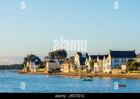 France, Finistere, L'Ile-Tudy, stage on the coastal footpath or GR 34 ...