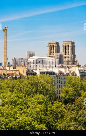France, Paris, Notre Dame de Paris under construction Stock Photo