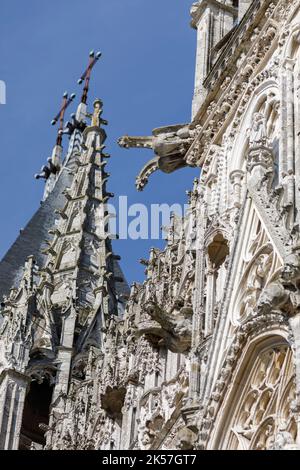 France, Seine-Maritime, Rouen, Notre-Dame Cathedral, details of the gargoyles adorning the south tower, called Butter Tower Stock Photo