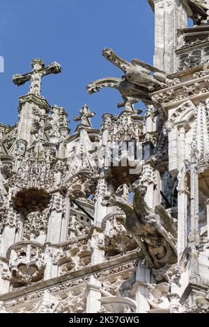 France, Seine-Maritime, Rouen, Notre-Dame Cathedral, details of the gargoyles adorning the south tower, called Butter Tower Stock Photo