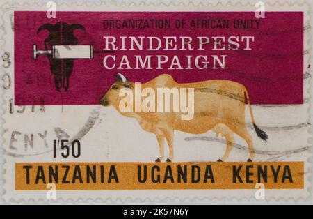 Photo of a British East Africa postage stamp with an illustration of a cow and syringe for a rinderpest campaign 1971 Stock Photo