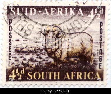 Photo of a South African postage stamp with an illustration of a Merino Ram Ovis ammon aries from the fauna and flora series 1953 Stock Photo