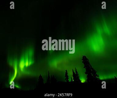 Aurora over Wrangell–St. Elias National Park and Preserve in Alaska. Stock Photo