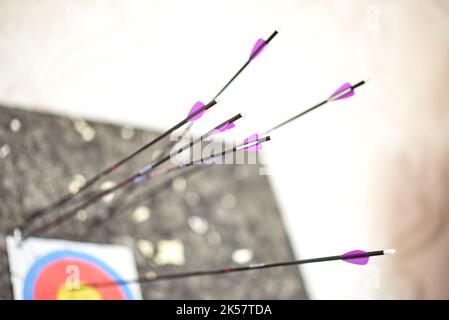 Carbon arrows with purple plumage are stuck in a paper target and an ...