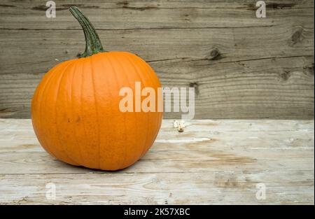 An orange pumpkin stands on a light wood table. Stock Photo