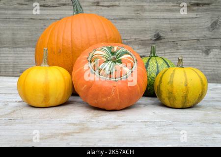 Various pumpkins stand on a table made of light-colored wood. Stock Photo