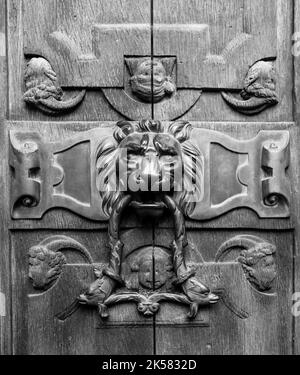 Stunning detail of traditional lion head shaped door knocker Stock Photo