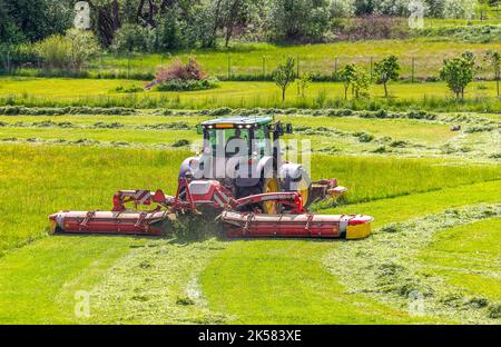tractor on green meadow cuts grass Stock Photo