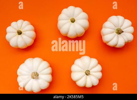 Halloween flat lay composition of black paper bats and pumpkins on orange background. Halloween concept Stock Photo