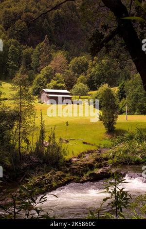 Small barn in the woods near Pucon in Chile Stock Photo