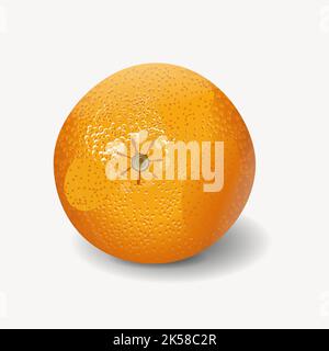 Tangerine clipart, food illustration vector. Stock Vector