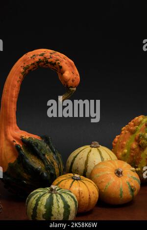Small pumpkins on a black background Stock Photo